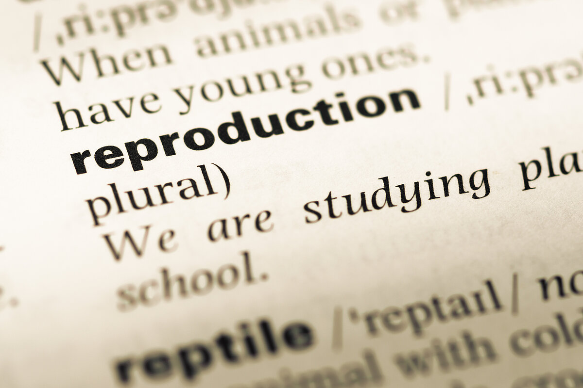 Beispielbild "reproduction" Reproduktion_TungCheung.jpeg
