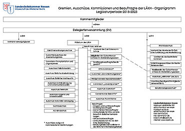 Organigramm: Gremien, Ausschüsse und Kommissionen Abbildung des Organigramms Gremien, Ausschüsse und Kommissionen