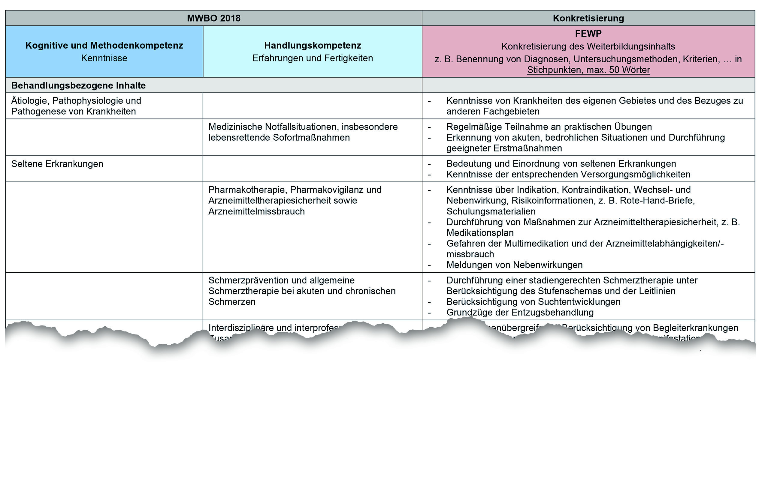 Beispiel aus den Fachlich empfohlenen Weiterbildungsplänen – (Muster-)FEWP der BÄK, hier: "Allgemeine Inhalte der Weiterbildung für Abschnitt B..." Bsp_Muster_FEWP.jpg
