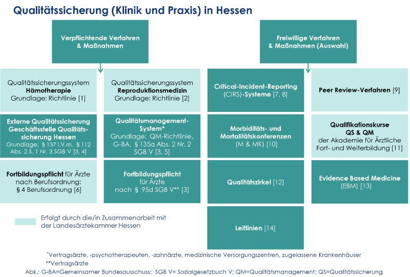 Qualitätssicherung (Klinik und Praxis) in Hessen haebl_patsich_grafik_neu_131119_2.jpg