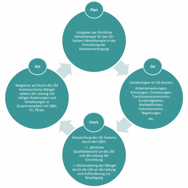 Kreislauf der Überwachung des QS-Systems Hämotherapie am Beispiel des PDCA-Zyklus von William Edward Deming grafik_artikel3_qshaemo.jpg