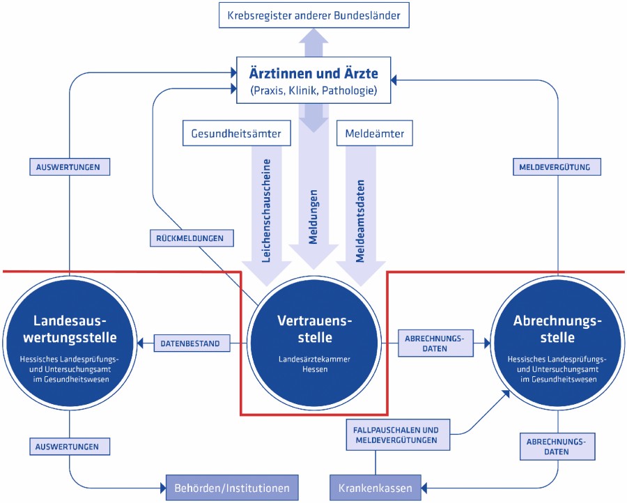 Abb. 1: Organisation des Hessischen Krebsregisters: Durch die Trennung (rote Trennlinie) in die Vertrauensstelle einerseits und die Auswertungsstelle andererseits werden die Vorgaben des Datenschutzgesetzes gewahrt. hkr_rexroth_organisation.jpg