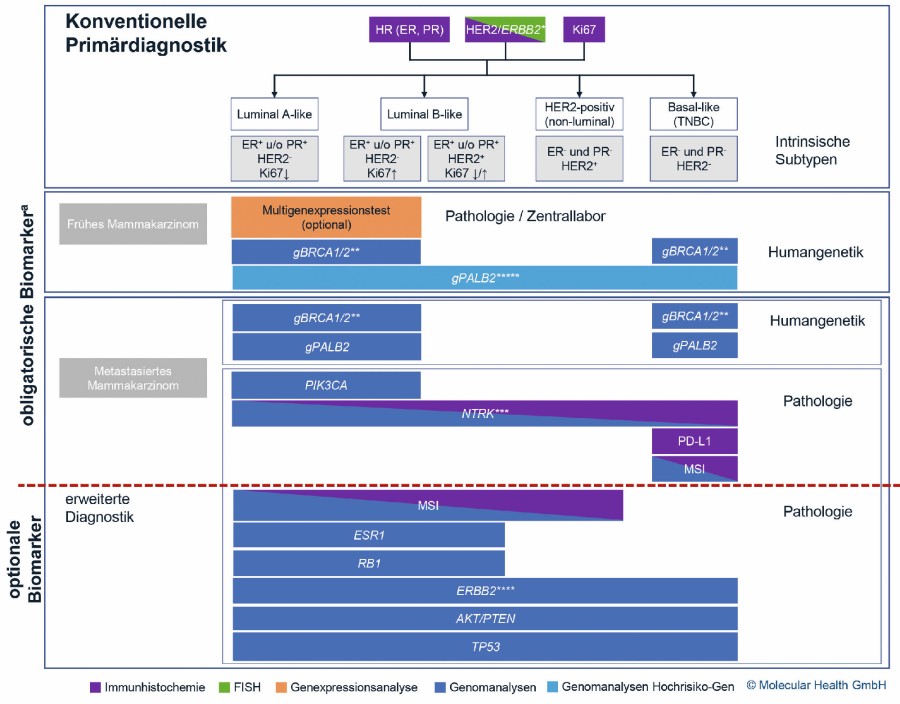 Abb. 1: Überblick therapierelevanter Biomarker beim Mammakarzinom (mit freundlicher Genehmigung von Molecular Health). 02_abb_jakisch_korr_cj_3.jpg