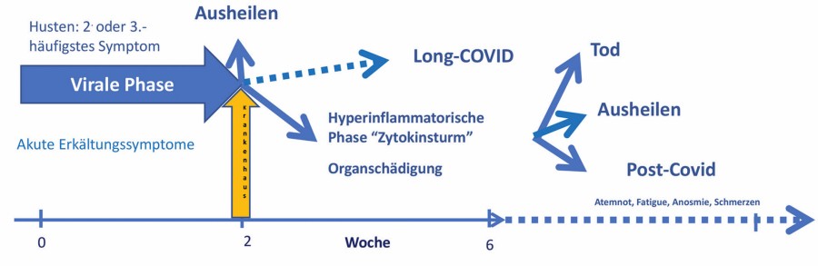 Abb. 1: Verlauf der Covid-19-Erkrankung henneberg_abb.jpg