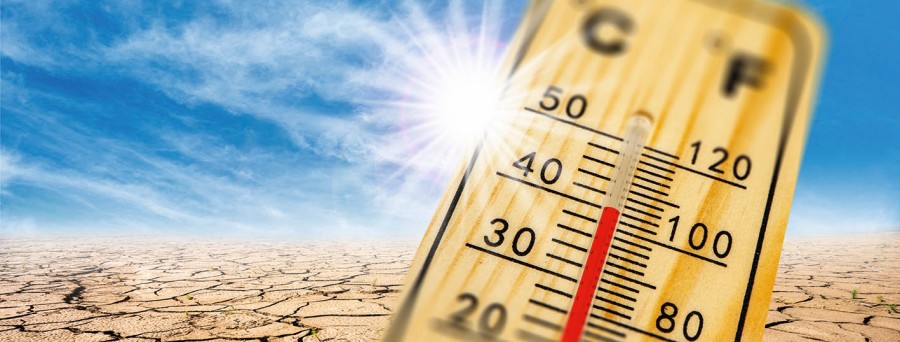 Symbolbild: Hitze im Sommer mit hoher Temperatur und Wassermangel original_hitzeschutz_f_f_wolfilser.jpg
