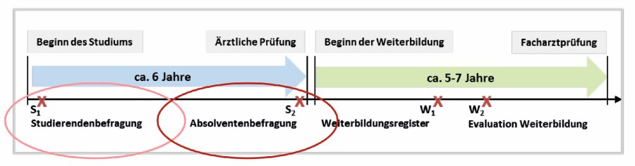 Zeitstrahl für Nachwuchsbefragungen der Stabsstelle Qualitätssicherung studierende_absolventen_laekh_2.jpg
