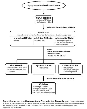 arthrose_abb_3_algorithmus.jpg arthrose_abb_3_algorithmus.jpg